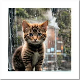 Beautiful Cats Cute Kittens Posters and Art